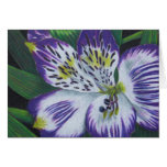 Alstroemeria Tarjetas
