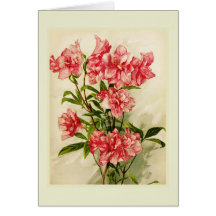 Alstromeria Tarjeta
