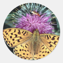 Alta mariposa marrón del fritillary etiqueta redonda