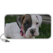 Altavoces blancos del perrito del boxeador