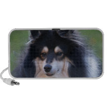 Altavoces de la foto de Sheltie