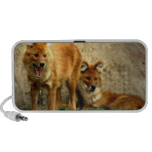 Altavoces de los zorros