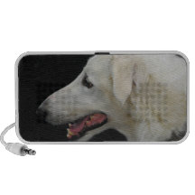 Altavoces del Borzoi