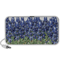 Altavoces del campo del Bluebonnet