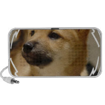 Altavoces del perro de Akita