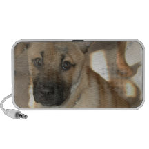 Altavoces del perro de Akita