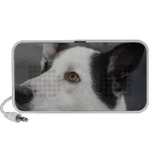 Altavoces del perro de Canaan
