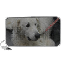 Altavoces del perro de Kuvasz
