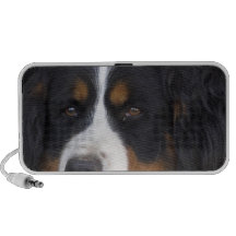Altavoces del perro de montaña de Bernese