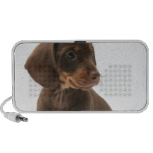 Altavoces del perro de perrito de Daschund