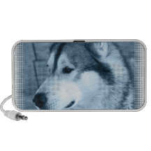Altavoces del perro del Malamute de Alaska