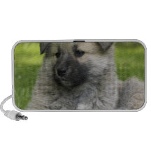 Altavoces del perro del perro chino de perro chino