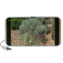 Altavoces - floración de la yuca en jardín de pied