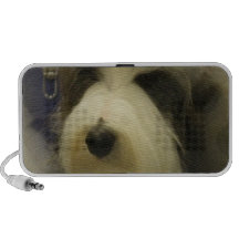 Altavoces ingleses viejos del perro pastor