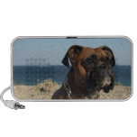 Altavoces lindos del perro del boxeador