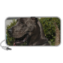 Altavoces negros de great dane