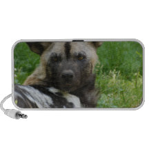 Altavoces portátiles africanos del perro salvaje