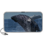 Altavoces portátiles de salto de la ballena joroba