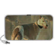 Altavoces portátiles de Whippet