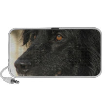 Altavoces portátiles del perro de Terranova