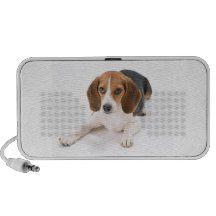 Altavoces portátiles del perro del beagle