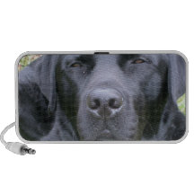 Altavoces portátiles negros del labrador retriever