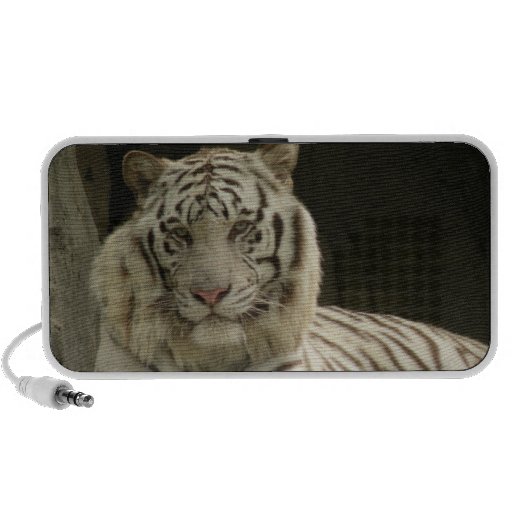 Altavoz blanco del Doodle del tigre