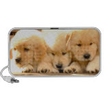 Altavoz de 3 perritos del golden retriever