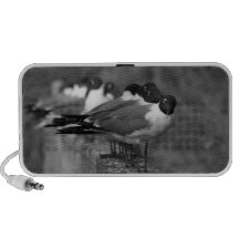 Altavoz de los pájaros