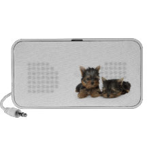Altavoz de los perritos de Yorkshire Terrier
