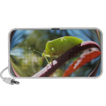 Altavoz del ~ del insecto 216 del hedor
