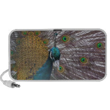 Altavoz del Doodle de la foto del pavo real