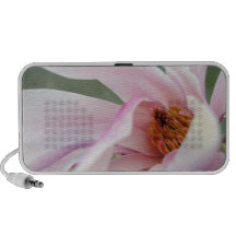 Altavoz del Doodle de la magnolia
