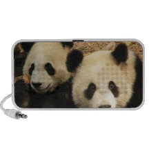 Altavoz del Doodle de los osos de panda