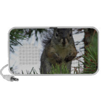 Altavoz del Doodle de Squirrely altavoces