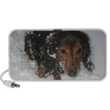 Altavoz del Doodle del Dachshund