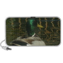 Altavoz del pato