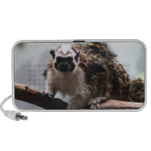 Altavoz del Tamarin de Geoffroy