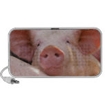 Altavoz guarro