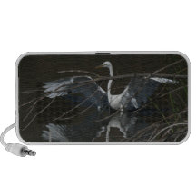 Altavoz reflector del Doodle del gran Egret