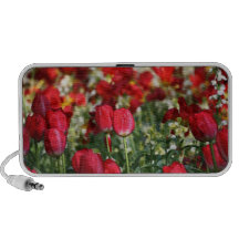 ALTAVOZ ROJO DE LOS TULIPANES