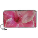Altavoz rosado del Doodle de la flor de Gladiola