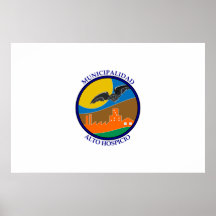 Alto Hospicio, bandera de Chile Poster