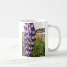 Altramuces púrpuras taza