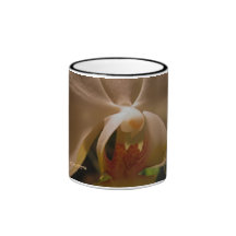 Amante de la orquídea tazas