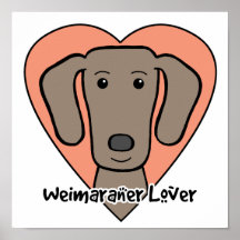 Amante de Weimaraner Poster