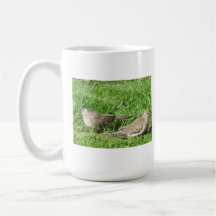 Amantes del pájaro tazas