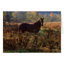 Amantes Notecard del caballo Felicitacion