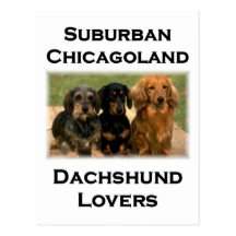 Amantes suburbanos del Dachshund de Chicagoland Postal