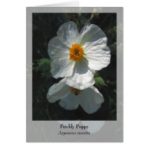 Amapola espinosa - Notecard nativo Felicitacion